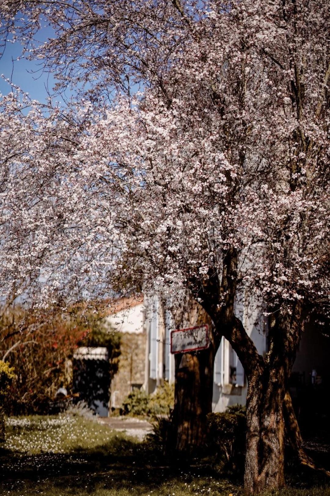 Chez Guilhem Saint-Maixent-l'Ecole Exterior foto